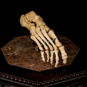 Human hand