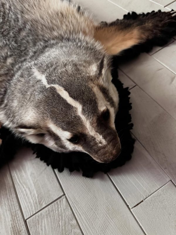 Badger rug